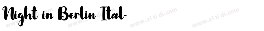 Night in Berlin Ital字体转换